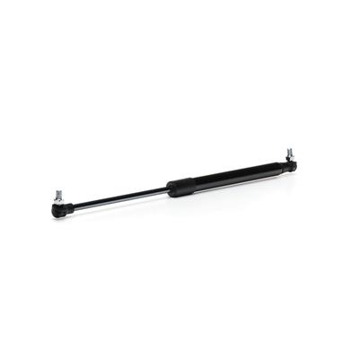 RIDEX Heckklappendämpfer MAN,NEOPLAN 219G1108 88748210016,10705588