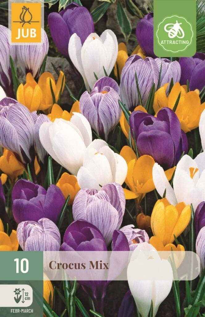 Jub Krokus grootbloemig mix 10 bollen