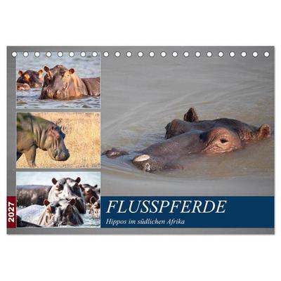 Hippos im südlichen Afrika (Tischkalender 2027 DIN A5 quer), CALVENDO Monatskalender