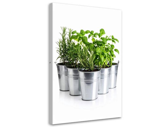 Feeby Leinwandbild Kräuter Gewürze Pflanzen 70x100cm, Grün, Essen/Getränk, Rechteckig, 70x100 cm, Bilder & Rahmen, Bilder, Leinwandbilder
