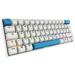 Sharkoon Tastatur Skiller SGK50 S4 Gen2 PBT kabelgebunden 60% weiß
