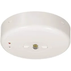 B-Safety, Sicherheitskennzeichnung, BL550038 Sicherheitsleuchte Deckenaufbaumontage