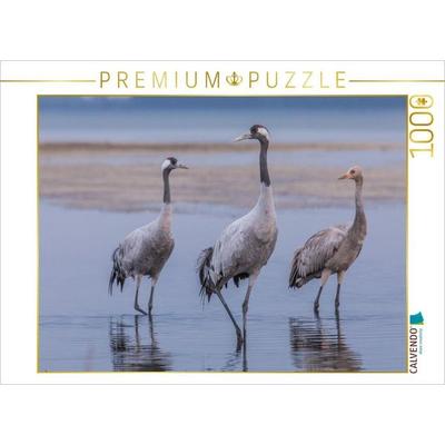 CALVENDO Puzzle Im Wasser watende Kraniche im Detail | 1000 Teile Lege-Größe 64 × 48 cm Foto-Puzzle für glückliche Stunden