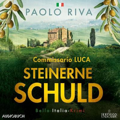 Steinerne Schuld - Paolo Riva, Audio, 9788727107509