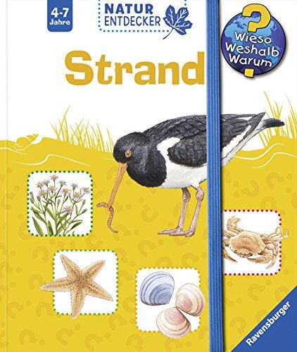 Daniela Prusse - Wieso? Weshalb? Warum? Natur-Entdecker: Strand - Preis vom 07.10.2026 11:45:10 h
