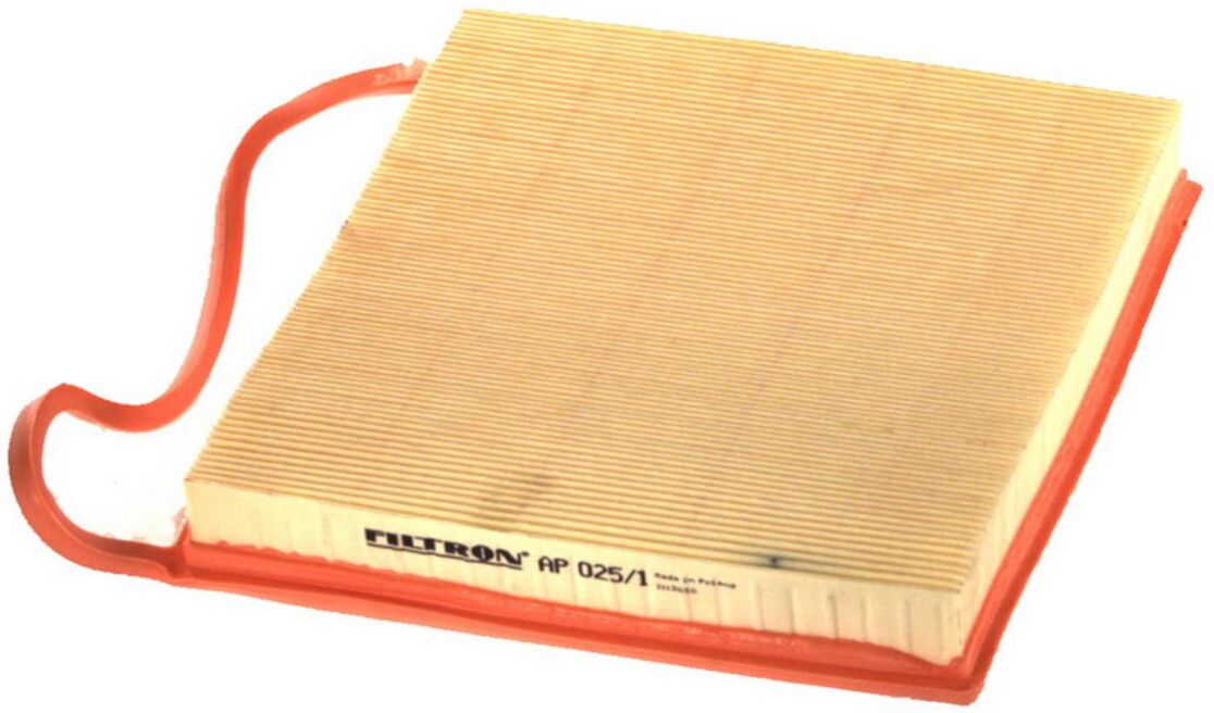 Luftfilter FILTRON AP025/1