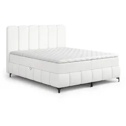BOXBETT Isabel