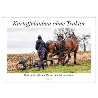 Kartoffelanbau ohne Traktor (Wandkalender 2026 DIN A3 quer), CALVENDO Monatskalender