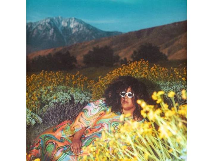 Brittany Howard: What Now [CD]