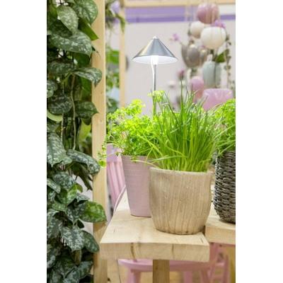 Venso LED-Pflanzenlampe SUNLiTE LED fest eingebaut 7W Neutralweiß 1St.
