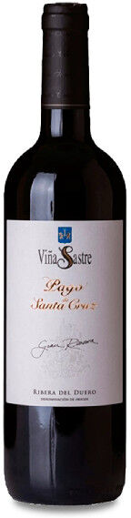 Hermanos Sastre Pago de Santa Cruz Gran Reserva 2019 - 75cl
