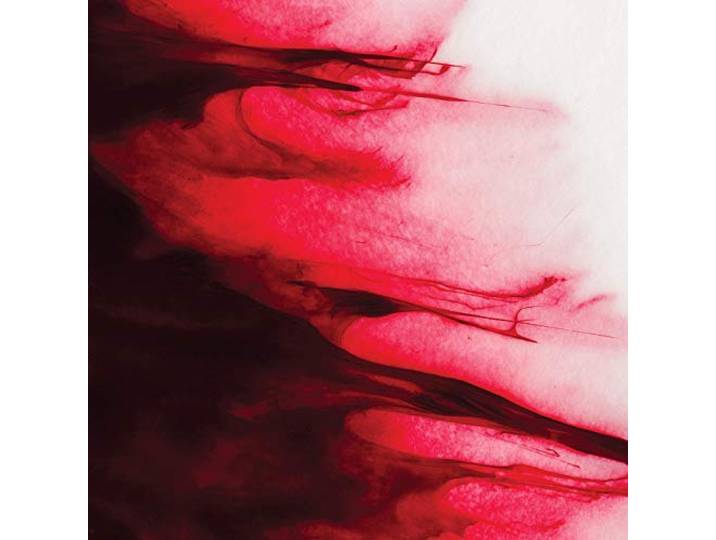 Alex Rigaud - Transformation