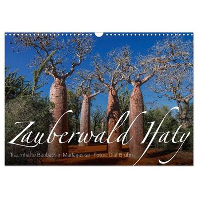 Zauberwald Ifaty · Traumhafte Baobabs in Madagaskar (Wandkalender 2026 DIN A3 quer), CALVENDO Monatskalender