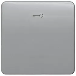 Siemens 5TG7928 DELTA profil Wippe mit Symbol Türöffner, silber