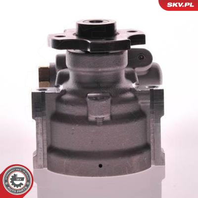 ESEN SKV Hydraulikpumpe, Lenkung 10SKV133 für Citroën/Peugeot Citroën