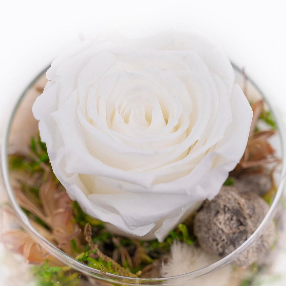 Handgemaakte Eeuwige Roos in Glas met Geschenkdoos - Kleurrijke Infinity Bloemendecoratie voor Cadeaus