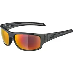 ALPINA Brille TESTIDO, Größe ONE SIZE in Braun Braun