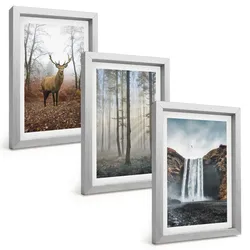 BILDER SET 3er Set - 20x30 cm Silberner Rahmen - Waldlandschaften, wilde Natur