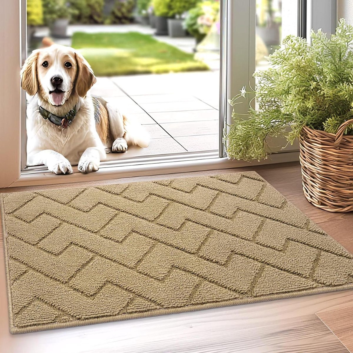 Beige Schoonloopmat Entremat Machinewasbaar 50 x 80 cm