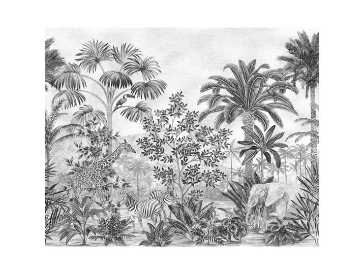 FOTOTAPETE JUNGLE EVOLUTION