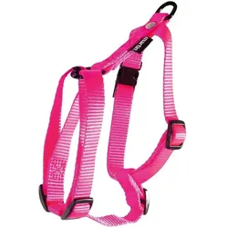 Martin Sellier S (50, Hund, Spazieren), Halsband + Leine