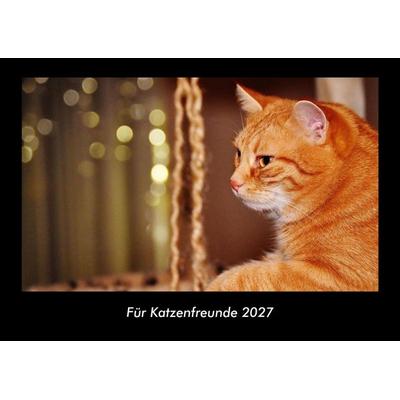 Für Katzenfreunde 2027 Fotokalender DIN A3