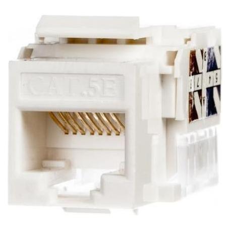 Netrack 105-02 Keystone-Modul (Keystone Modul) (105-02)