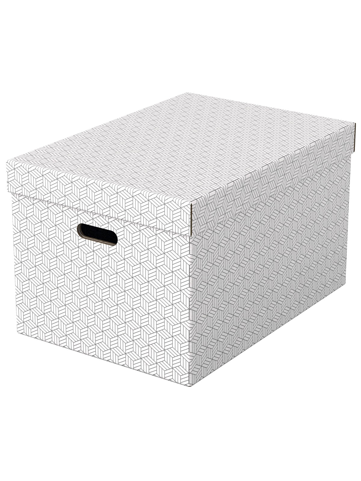 Esselte Home Aufbewahrungsboxen Groß, 3 Stück Weiß