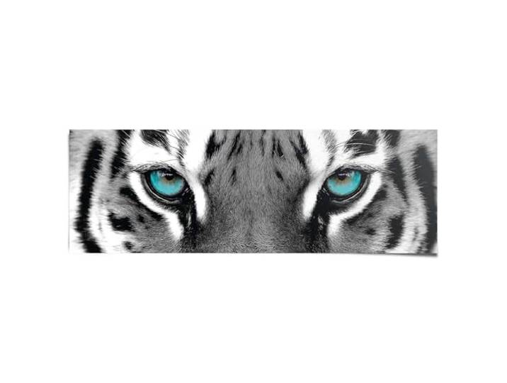 Poster Siberische Tijger 53 x 158