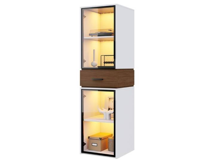Vitrine avec portes vitrées et éclairage LED Étagère sur pied avec vitrine meuble de rangement pour classeurs et livres 100×35×200cm
