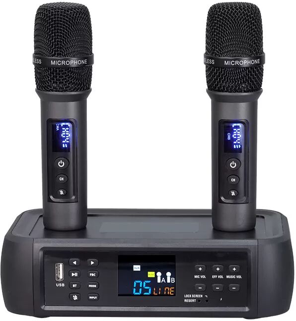 INF Drahtloses Mikrofon-Set mit DSP-Anti-Heul-Technologie