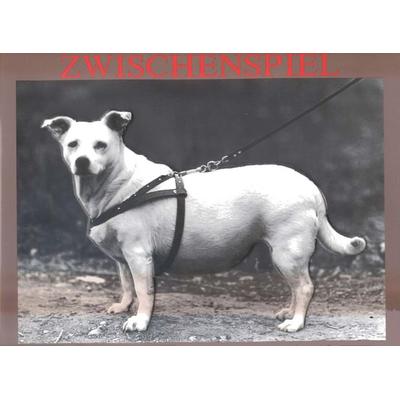 Zwischenspiel, Gebundene Ausgabe von Peter Dressler, Karolinger Verlag, 978-3-85418-039-5
