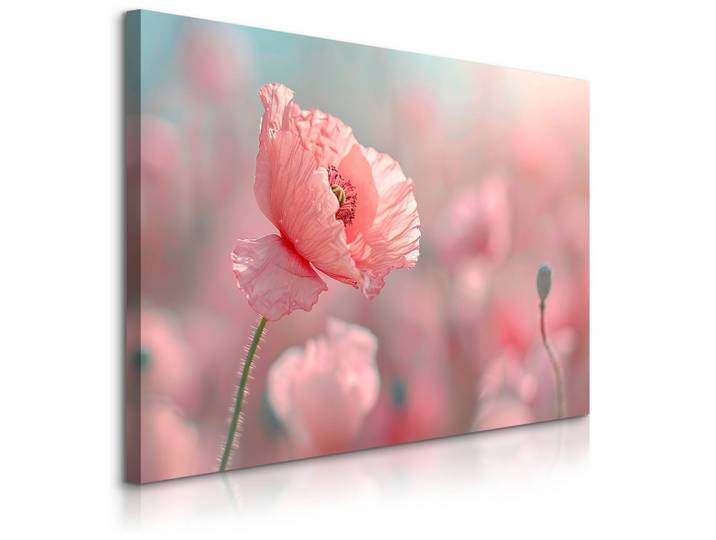 LEINWANDBILD für Wohnzimmer Mohnblumen Pflanzen Natur 90cm x 60cm