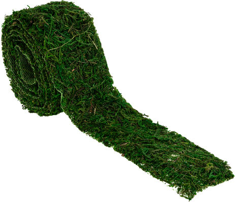 Moosband, 5 cm, 1,2 m