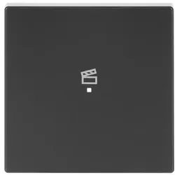 Busch-Jaeger Wippe 1-f Symbol Szene 6233-10-81