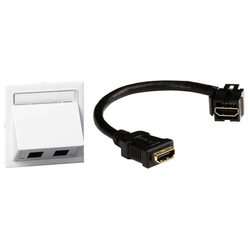 Schneider Electric INS60510 Einbaudose Multimediaträger 1St.