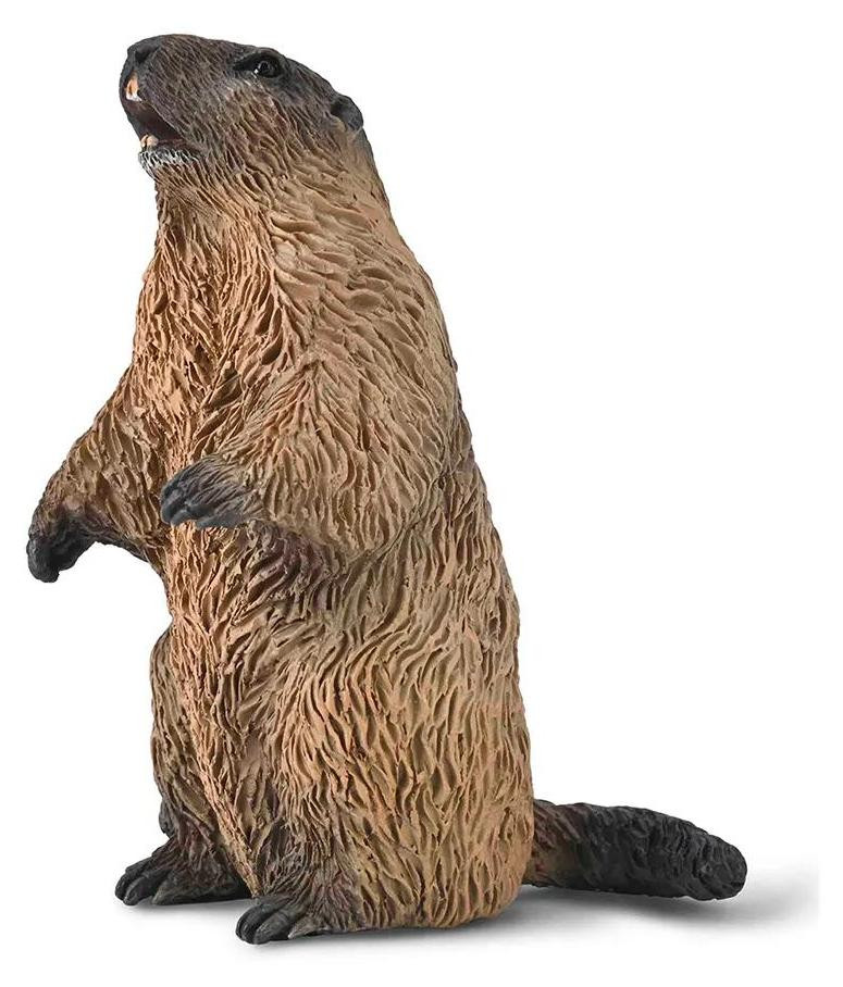 Collecta Marmotbeeldje, Bruin