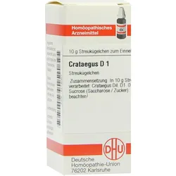 Crataegus D 1 10 G