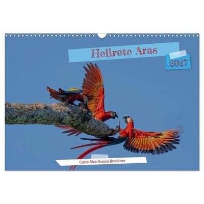 Hellrote Aras (Wandkalender 2027 DIN A3 quer), CALVENDO Monatskalender
