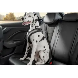 Original Skoda Hundeschutzgurt Größe L - größere Hunde