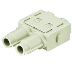 Buchsenmodul 09140023141 HARTING Inhalt: 1 St. Buchsenmodul