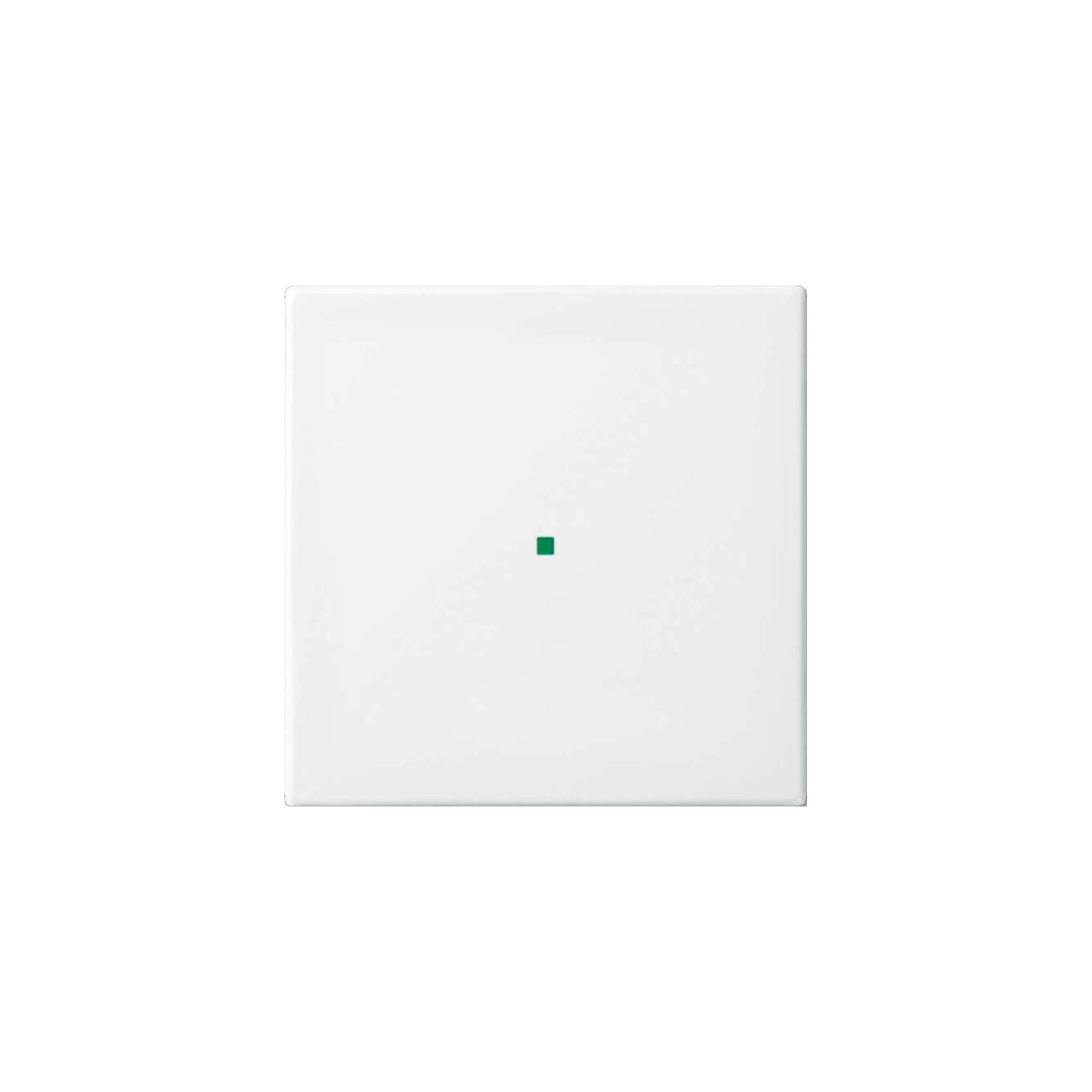 Busch-Jaeger Wippe aws Busch-balance SI 6230-10-914 (2CKA006220A0355)