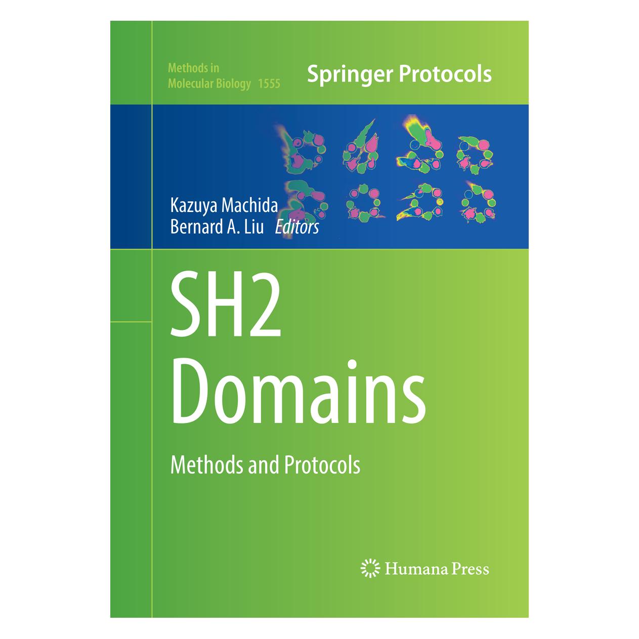 Springer SH2 Domains (Englisch, Softcover, Bernard A. Liu, Kazuya Machida) (34327688)