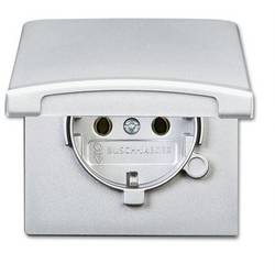 ABB 2CKA002064A0288 Geräteeinsatz IP44 Aluminium, Weißaluminium (RAL 9006)