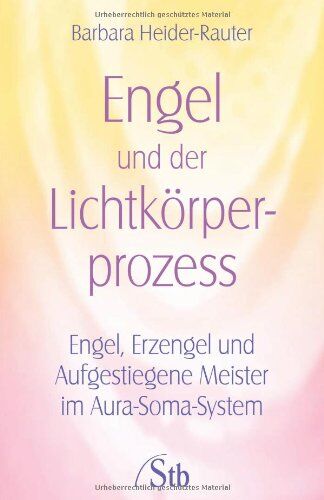 Barbara Heider-Rauter - Engel und der Lichtkörper-Prozess - Engel, Erzengel und Aufgestiegene Meister im Aura-Soma-System - Preis vom 13.10.2026 11:25:28 h