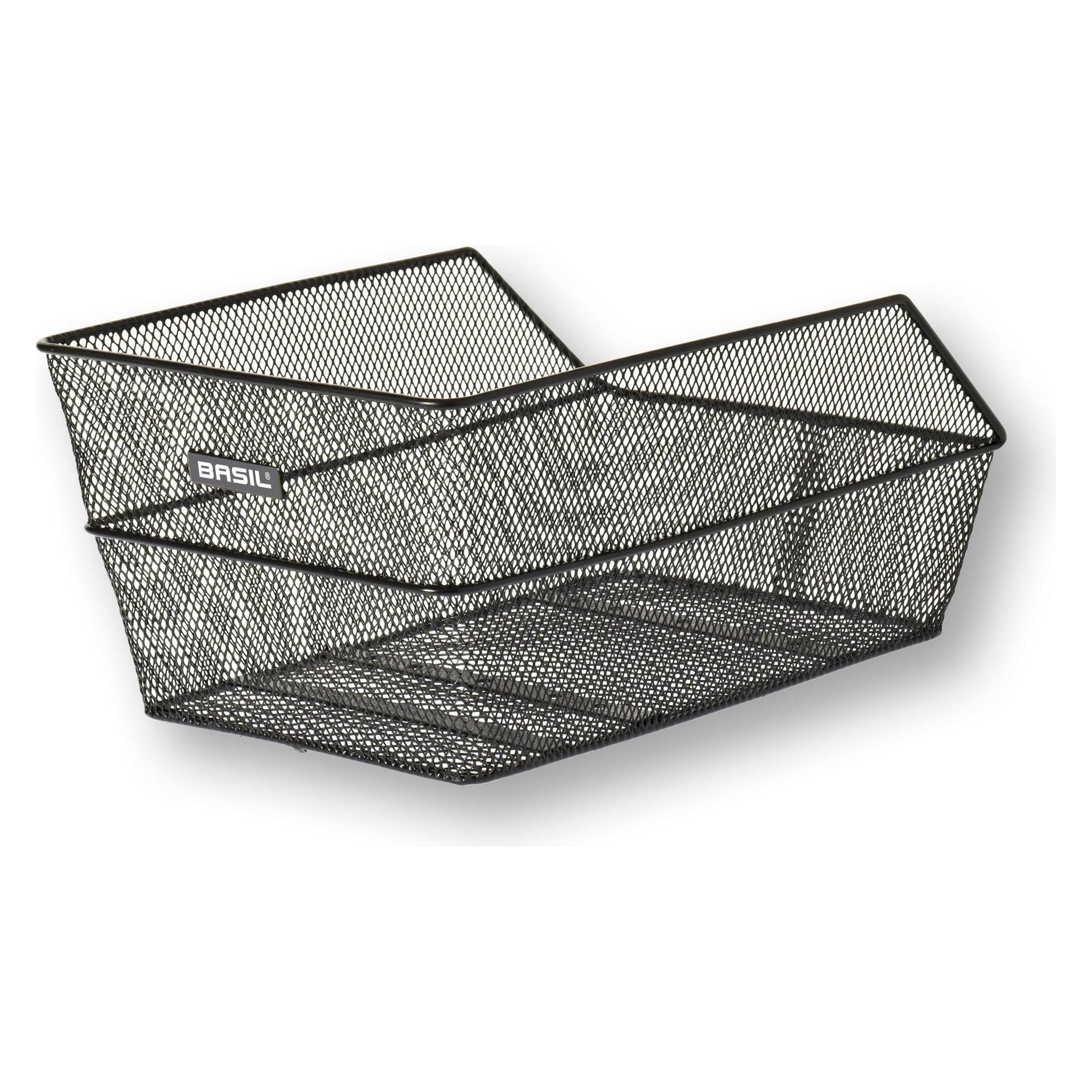 Basil Scuola-Cento (27 l) (1196)