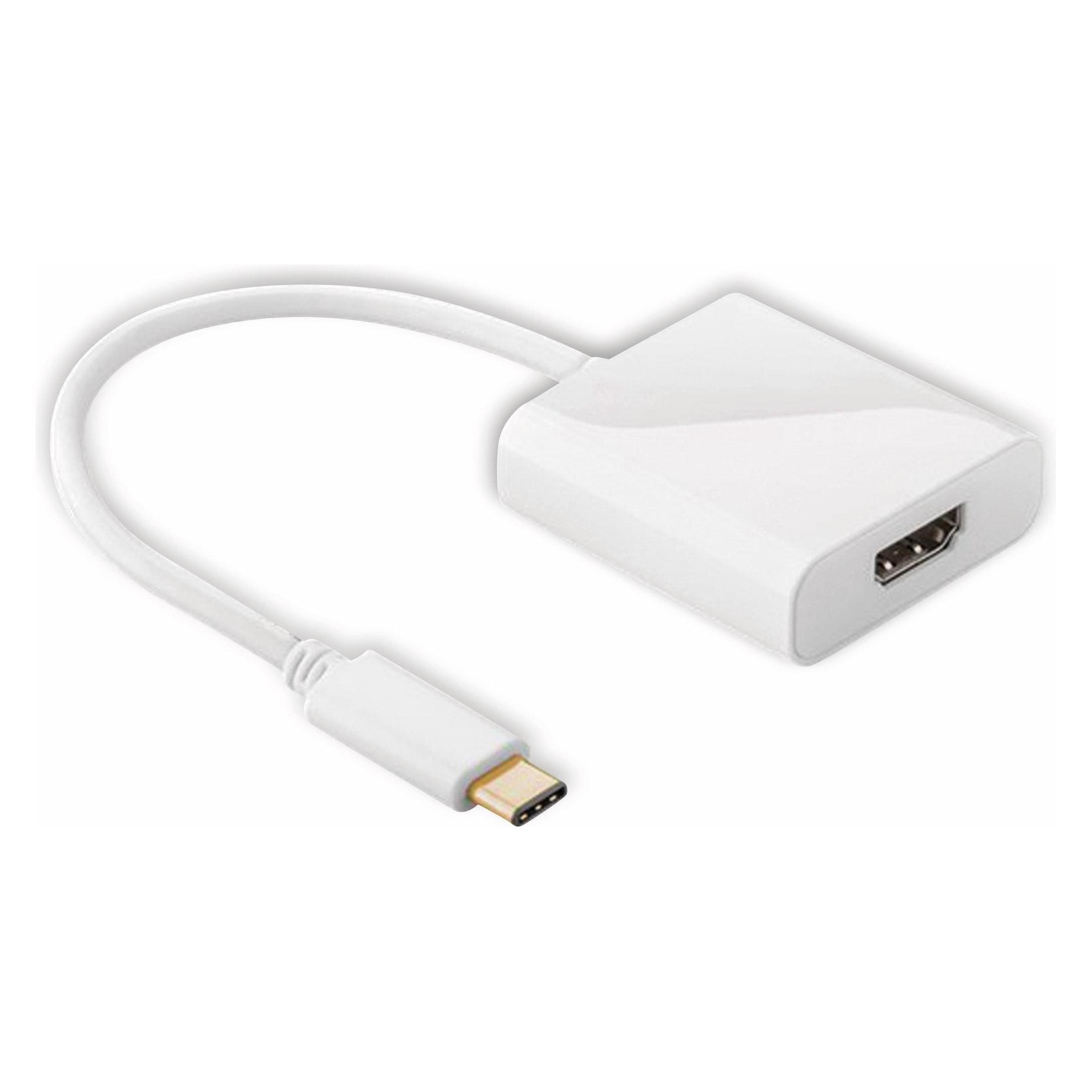 Goobay USB C Adapter (66259)