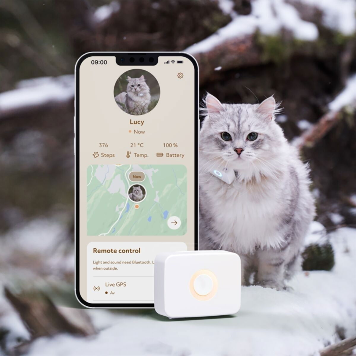 Lilcat Gps-Tracker Till Katt