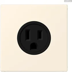 Jung LC521-15245 Steckdose US-Norm NEMA LC4320B
