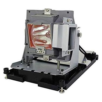 Origin Storage BTI LAMP FOR OPTOMA EH500 OEM: BL-FU310B DE.5811118436 (EH500, X600) (BL-FU310B-BTI)